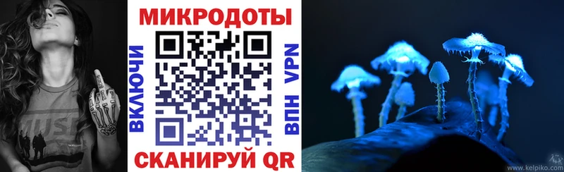 хочу наркоту  Палласовка  Псилоцибиновые грибы Psilocybe 